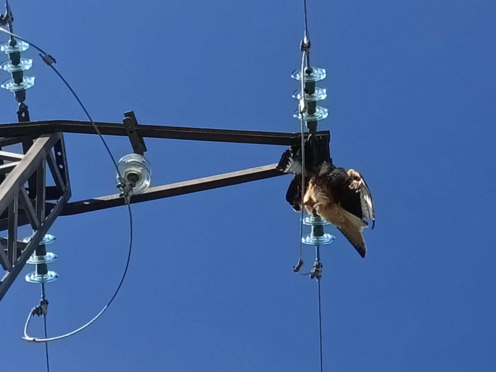 WhatsApp Image 2025-02-20 at 20.17.07 (1)