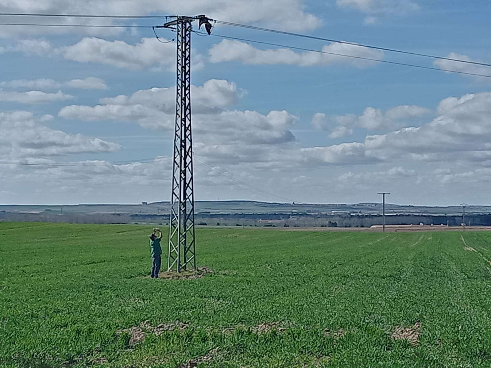 WhatsApp Image 2025-02-20 at 20.17.07